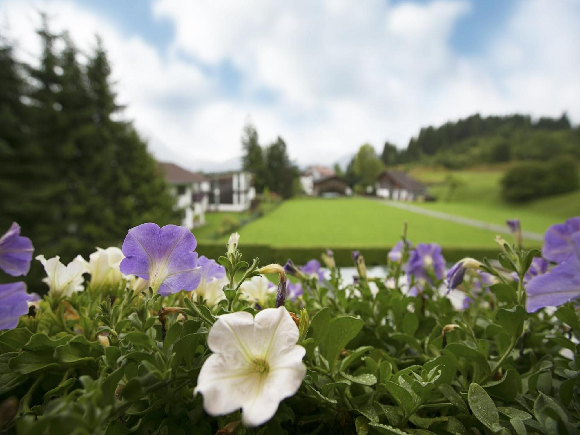 Apartment In W Ngle Tyrol With Walking Trails Near Reutte Exterior photo